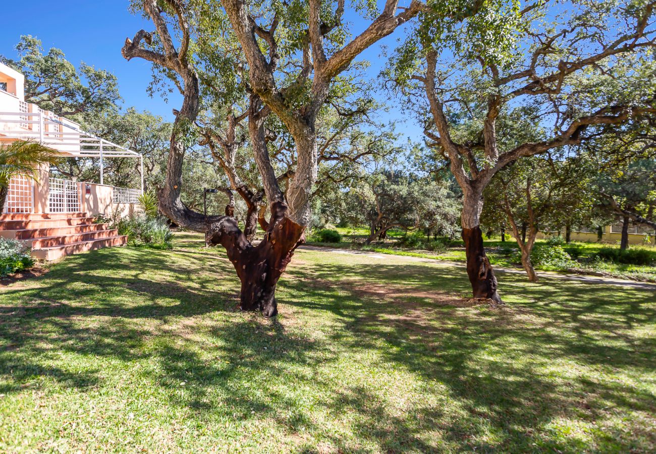 Ferienwohnung in Marbella - Jardines De Elviria