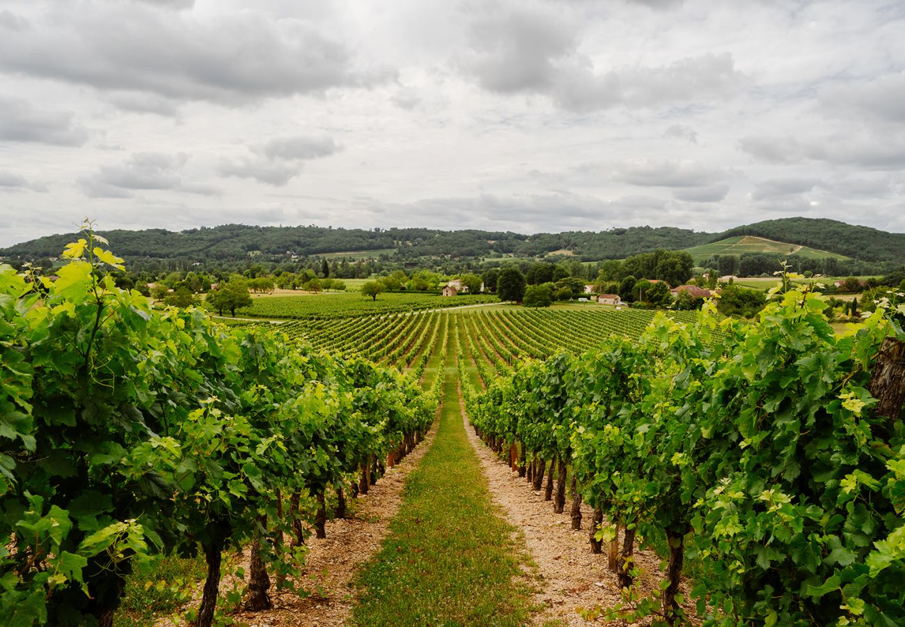 Finca in Prayssac - Chateau Camp del Saltre