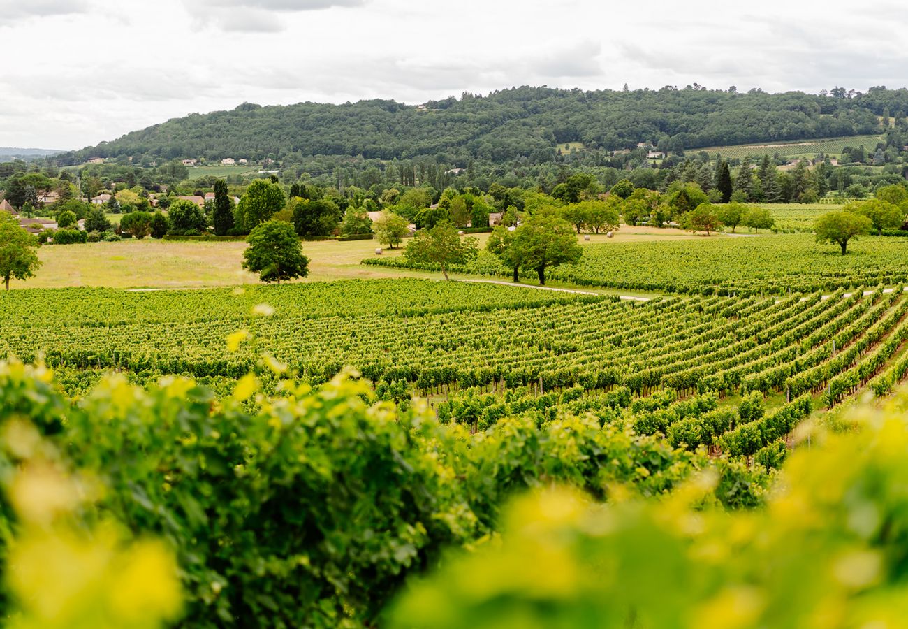 Finca in Prayssac - Chateau Camp del Saltre