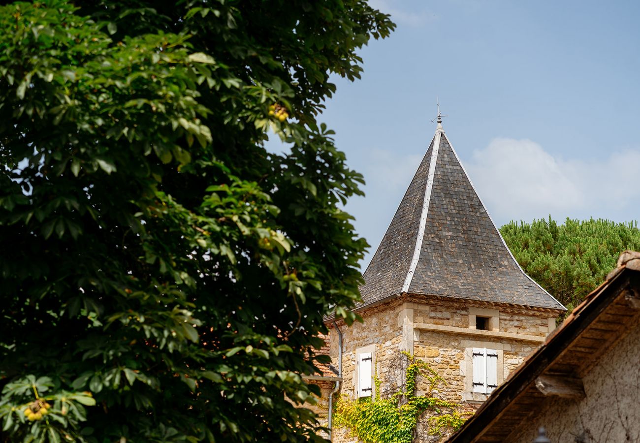 Country house in Prayssac - Chateau Camp del Saltre